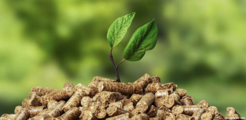 Come scegliere il pellet migliore? Guida all’acquisto